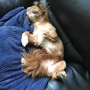 Meet your Posher, Jackie